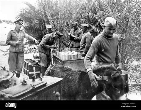 The Rat Patrol – Avventura bellica nel deserto del nord Africa con una squadra di audaci alleati!